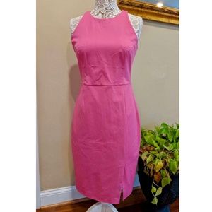 NWT Banana Republic Pink Sheath Dress